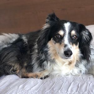 Meet your Posher, Claudia